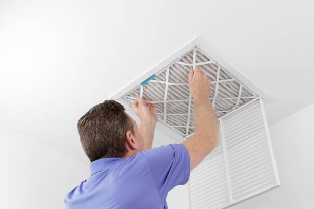 Best HVAC Maintenance and Cleaning  in Homosassa Springs, FL